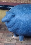 Blue Sheep and Guard Dog